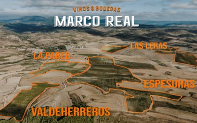 Bodegas Marco Real, en busca de tesoros vinícolas