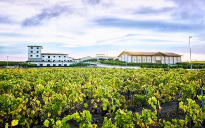 BODEGAS MARCO REAL EN BOCA DE TODOS