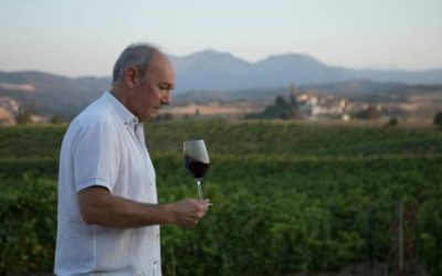 Los vinos monovarietales de Bodegas Marco Real