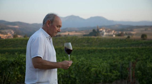 Los vinos monovarietales de Bodegas Marco Real