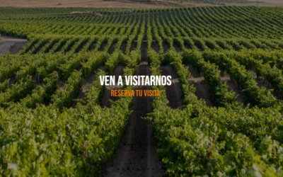 Visita Bodegas Marco Real en Semana Santa